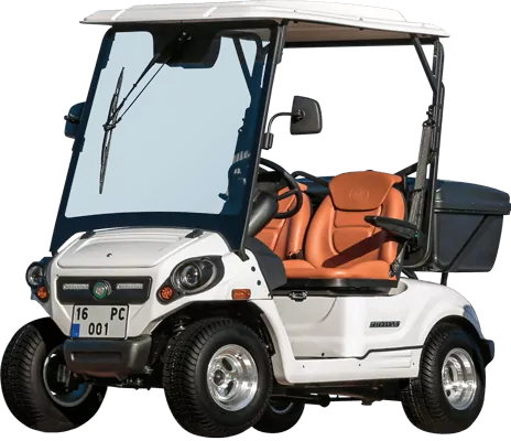 Pilotcar / PC 4 / PİLOTCAR PC-4 golf arabası 6 kişilik at